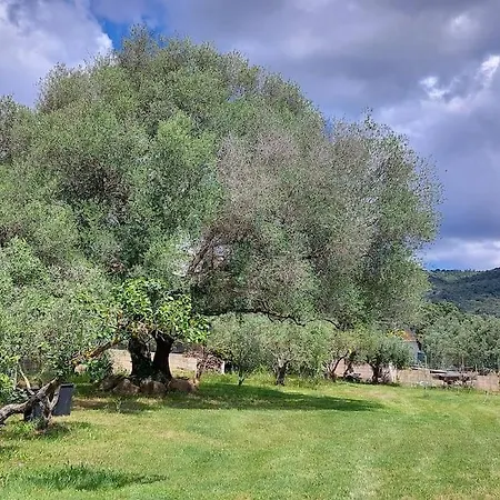 Holiday home Olbia Grazioso Bilo In Periferia