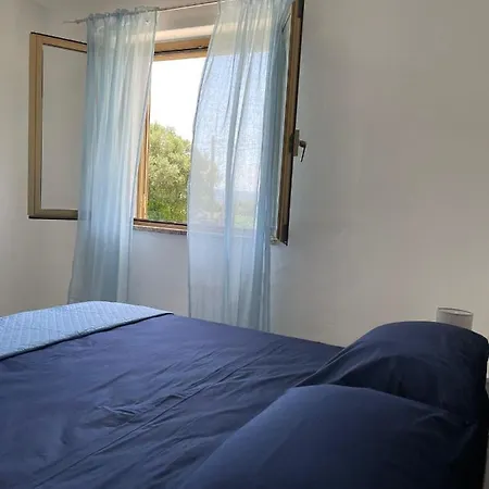 Hotel Olbia Grazioso Bilo In Periferia 3*
