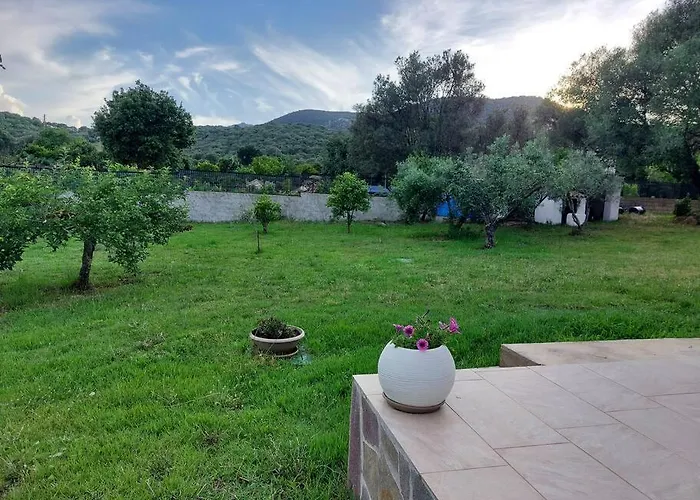 Olbia Grazioso Bilo In Periferia 3*